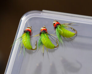 Caddis pupa купить