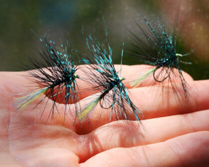 Dragonfly